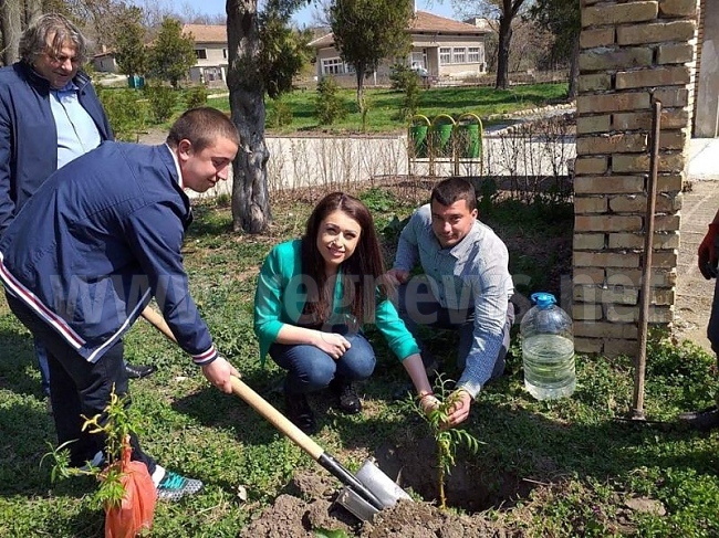 Станислава Стоянова участва в инициатива за залесяване в Хаджидимитрово 
