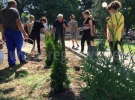 Стартираха дейностите по проект „Обновяване, почистване и озеленяване в парк в с. Ореш, община Свищов“