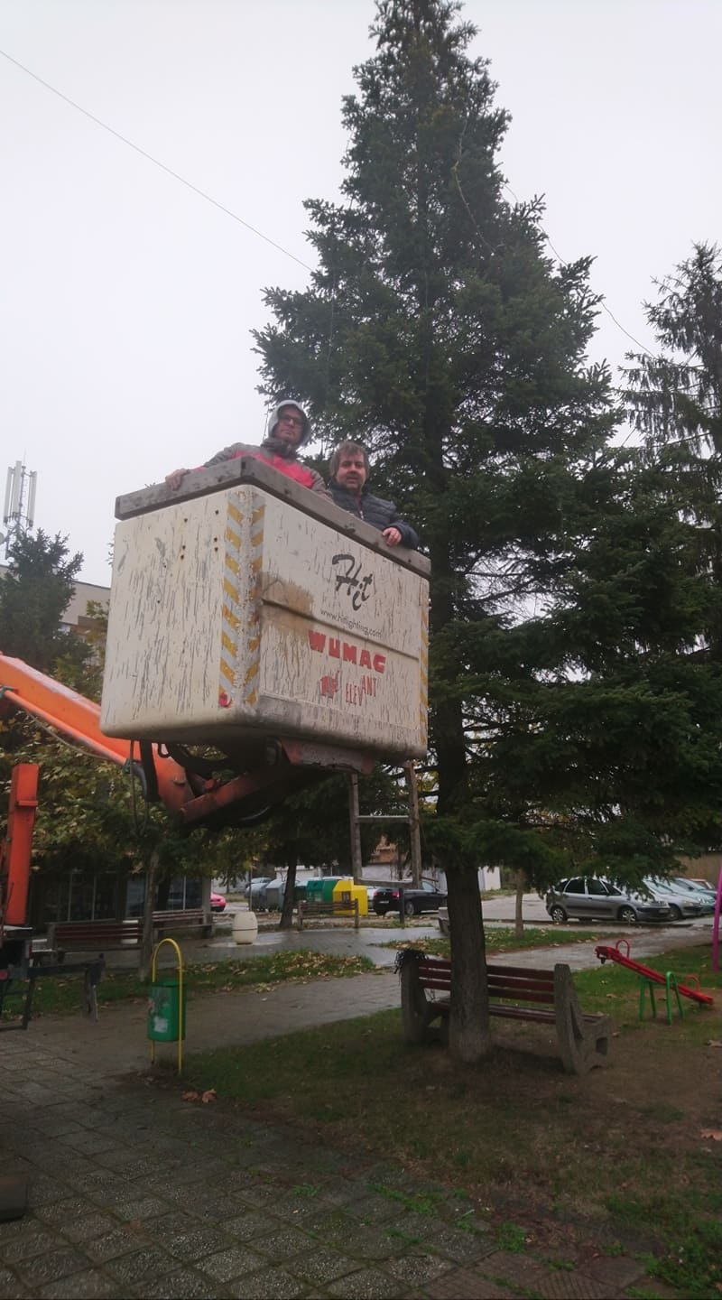Кмет и общински съветник сами украсиха коледната елха на Долна Оряховица