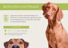 Безплатна кастрация на домашни и дворни кучета предлага Общинският приют край Велико Търново