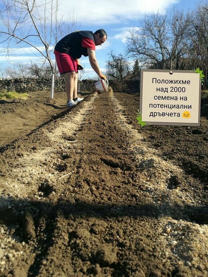 Доброволците от „Засади дърво Горна Оряховица” продължават инициативата си, въпреки ограниченията заради вируса