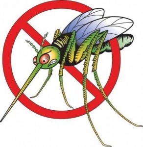 През месец май в Горнооряховско ще се направи ларвицидна обработка срещу комари 