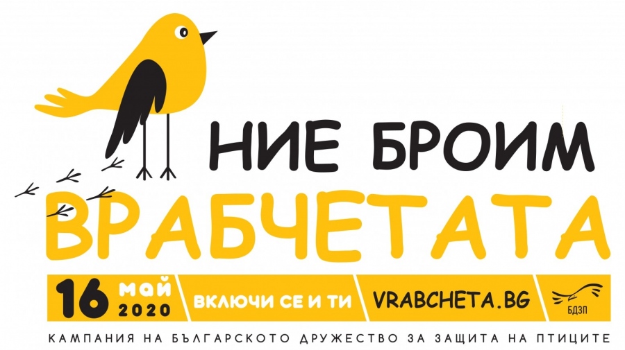 Доброволци броят врабчетата в България