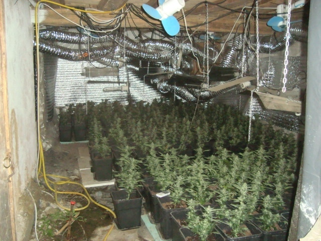 Съвременно оборудвана оранжерия за отглеждане на марихуана откриха в обезлюдено село 