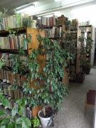 Общинската библиотека в Горна Оряховица спечели проект за купуването на нови книги 