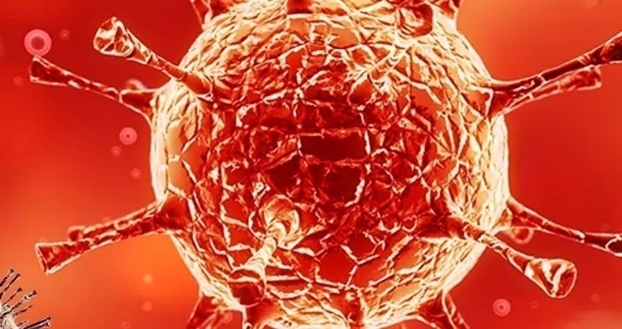 15 са новите случаи на коронавирус в областта, епидемиологичните проучвания продължават