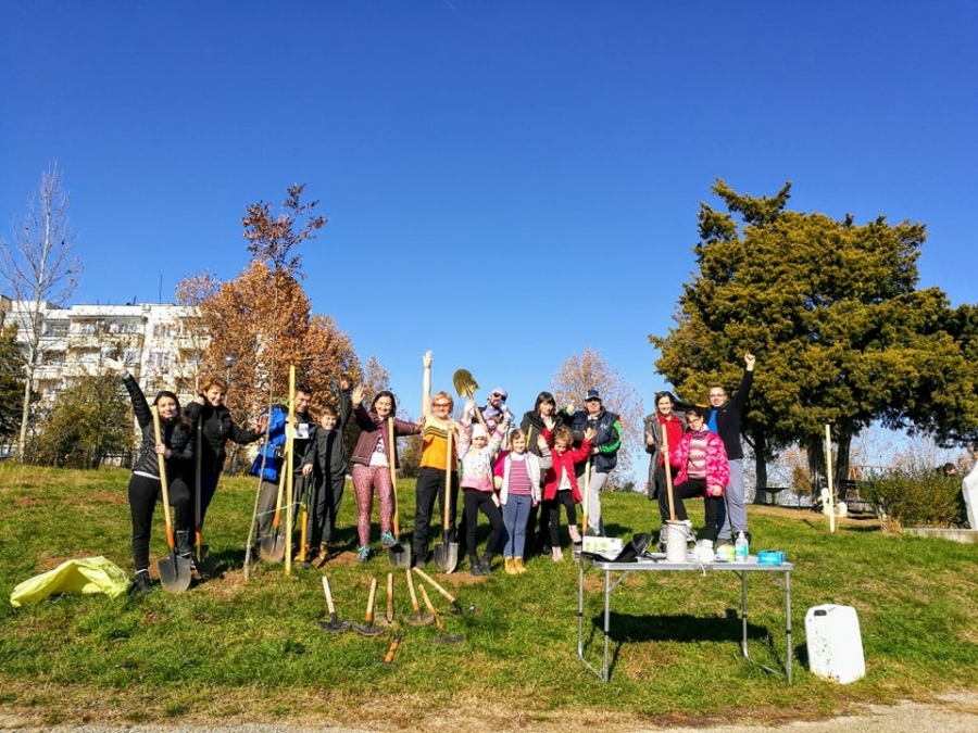 Доброволци засадиха 20 фиданки в парк „Никола Петров” в Горна Оряховица