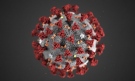 Нов скок на заболелите от коронавирус, 126 са те за последното денонощие