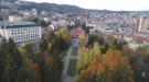 Третират парковете и зелените площи във Велико Търново срещу кърлежи и бълхи