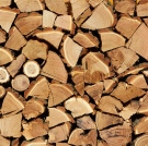 Над 56 000 кубика дърва за огрев са предоставени на физически лица в обхвата на „Северноцентрално държавно предприятие“ ДП