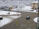 Три села в Горнооряховско са без ток заради натежали от снега клони