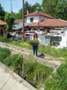 Дарители предоставиха дръвчета за облагородяване на междублокови пространства в Горна Оряховица