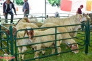Министерство на земеделието с информационен щанд на Събора на овцевъдите