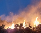 Горските апелират за спазване на противопожарните правила
