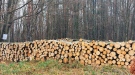71 000 кубика дърва за огрев са предоставили стопанствата от СЦДП
