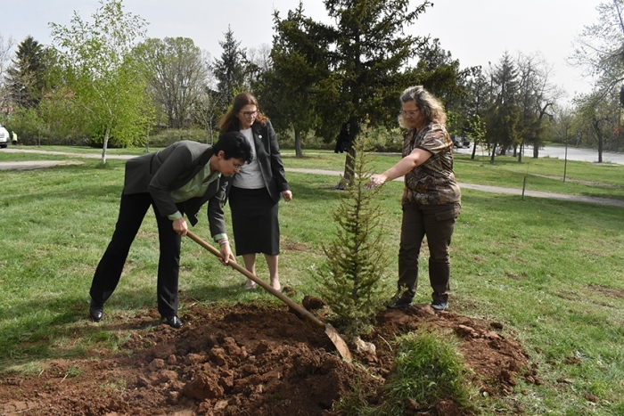 15 дръвчета засадиха в парк „Никола Петров” представители на Регионалната дирекция по горите, Горското стопанство и Община Горна Оряховица