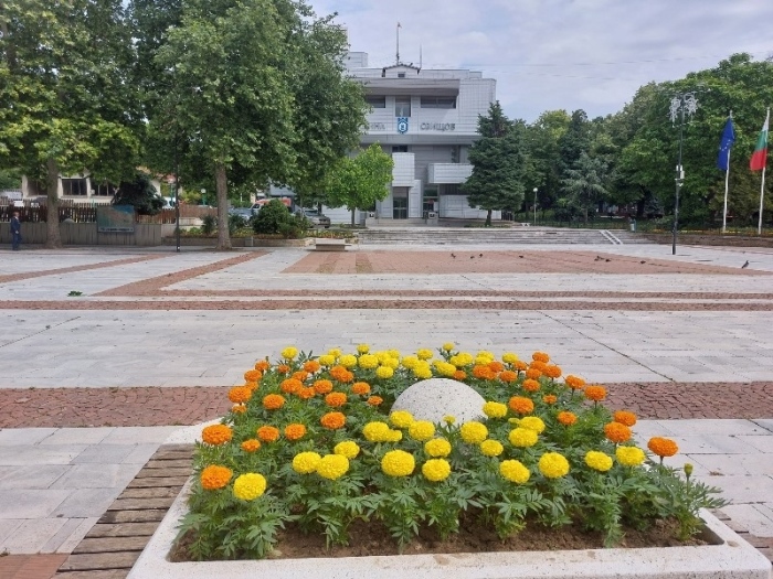 По настояване на Община Свищов АПИ започва ремонт на пътя до кръстовището за селата Козловец и Совата                