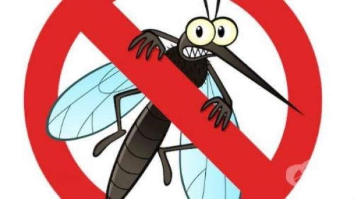 В Свищовско ще третират против комари
