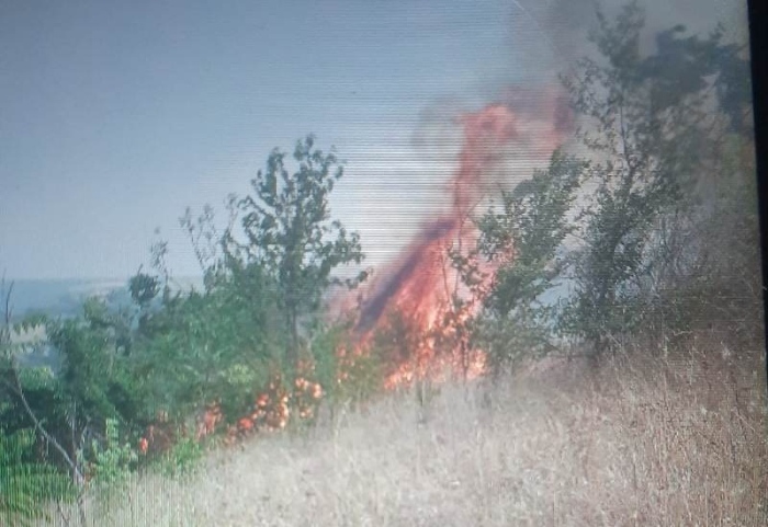 В Свищов разследват пожар, унищожил домове, пасища и гора край Ореш