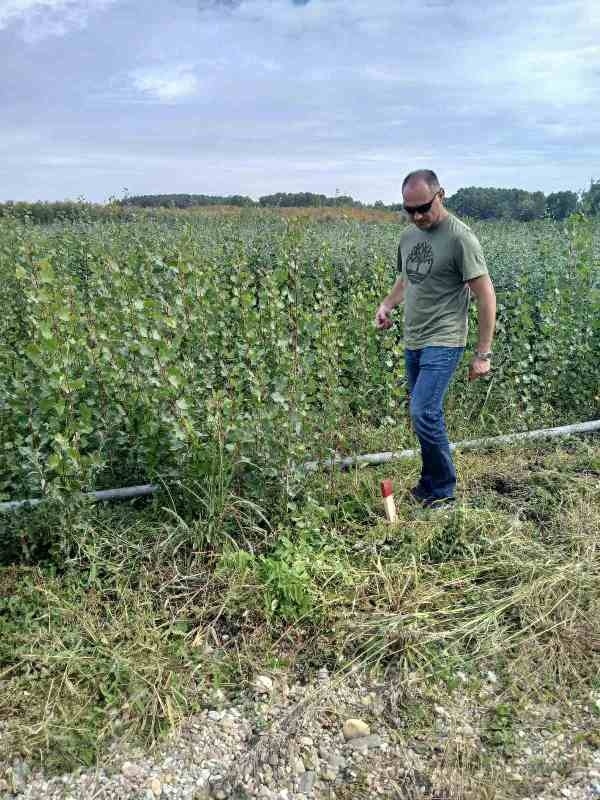 Лесовъди от Свищов обмениха опит със свои колеги в Румъния