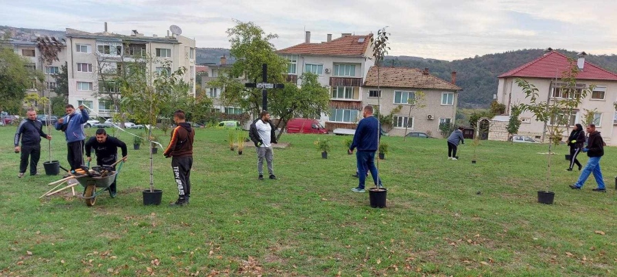 Започна изграждането на „Зелен паметник” в памет на жертвите на комунизма във Велико Търново